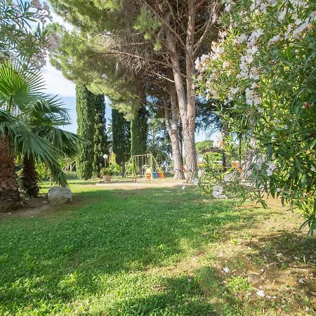 Splendid In With Swimming Pool Apartment